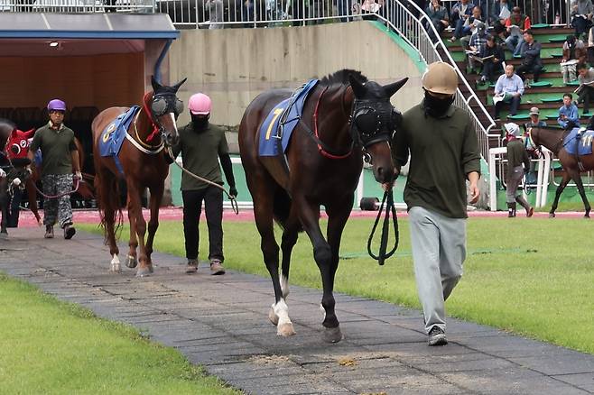 지모션. 2025년9월28일 일간스포츠배