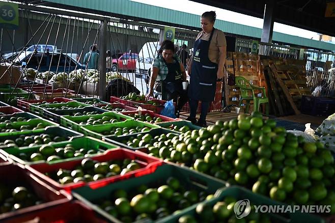 과일과 채소 파는 엘살바도르 상인 [AFP 연합뉴스 자료사진. 재판매 및 DB 금지]