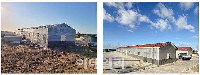 사단법인 제제프렌즈가 동물자유연대 풀뿌리 단체 지원사업을 통해 보호소 환경을 개선한 모습(사진=동물자유연대)