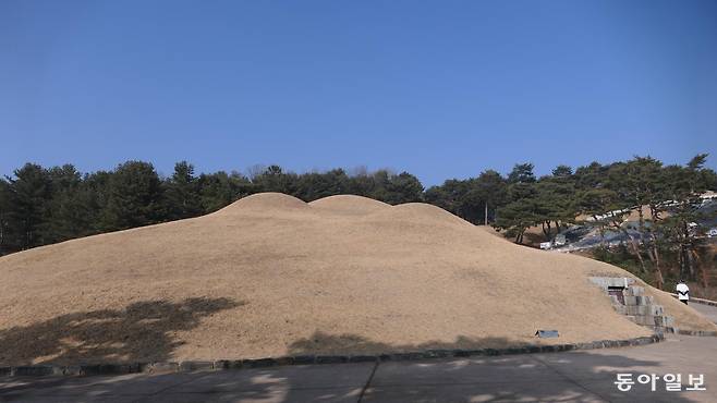 충남 공주군 왕릉원의 무령왕릉과 왕릉 1∼6호분 전경. 무덤 위에서 후투티 세 마리가 뛰놀았다.