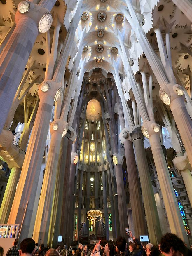 사그라다 파밀리아 성당 내부.