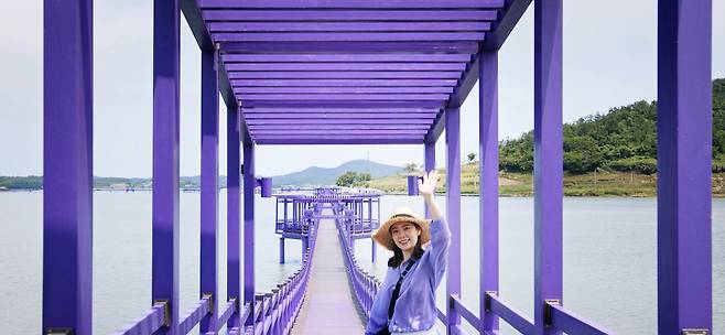 박지도의 명물 퍼플교_최병일 기자