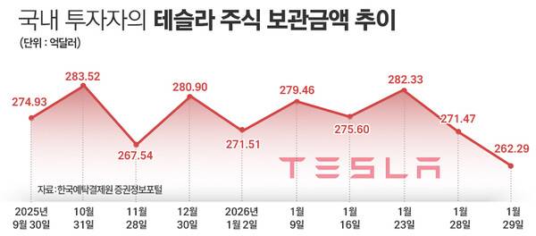 국내 투자자의 테슬라 주식 보관금액 추이. / 그래픽=정승아 디자이너
