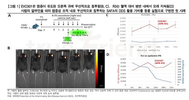 에보뮨이 'APB-R3' 효능을 보강하는 DDS로서의 SAFA 기능을 동물모델에서 확인했다. (자료=한국투자증권)