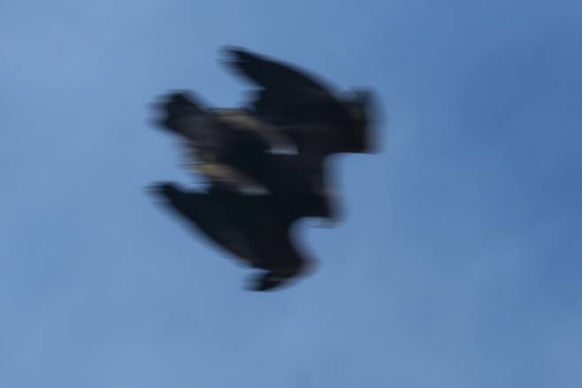공기를 가르며 하강 속도를 극대화하는 검독수리.