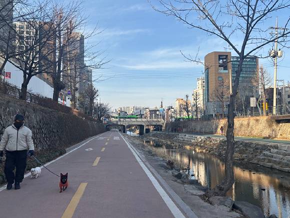 '보문 센트럴 아이파크' 앞 성북천에 주민들이 산책을 하고 있다. [사진=김민지 기자]