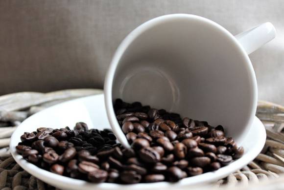 사진은 커피 잔 속 원두. [사진=픽사베이@Mondgesicht]