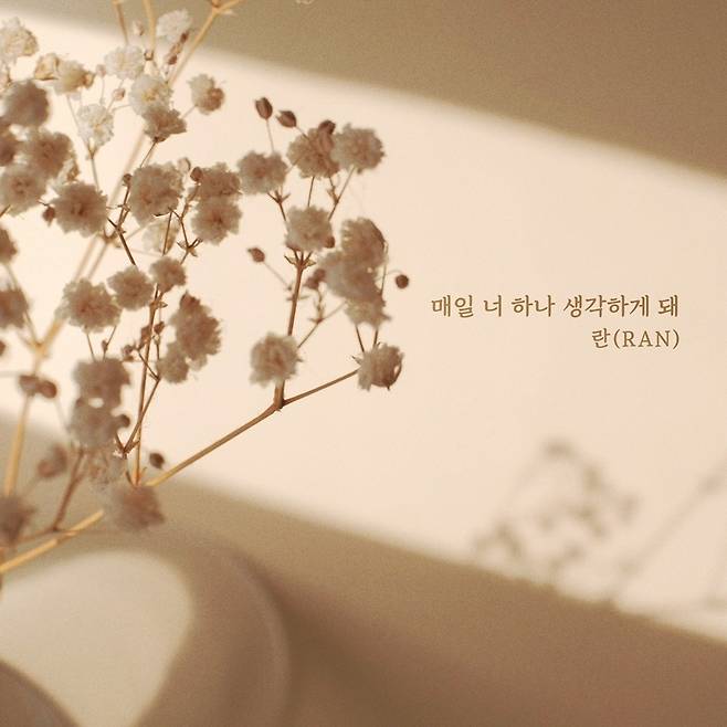 숲을 보는 엔터테인먼트