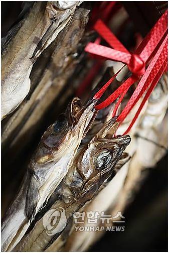 명태 [연합뉴스 자료사진]