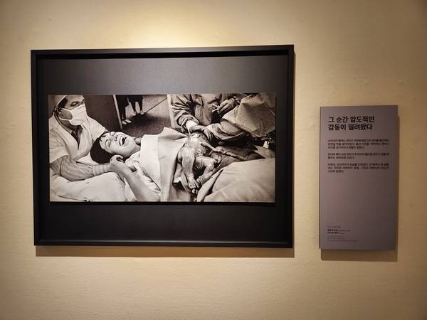 1973년 퓰리처상 수상작. 브라이언 랭커 '생명의 순간'. /류민기 기자