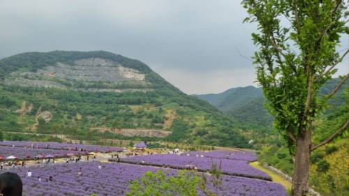 ◇동해 무릉별유원지