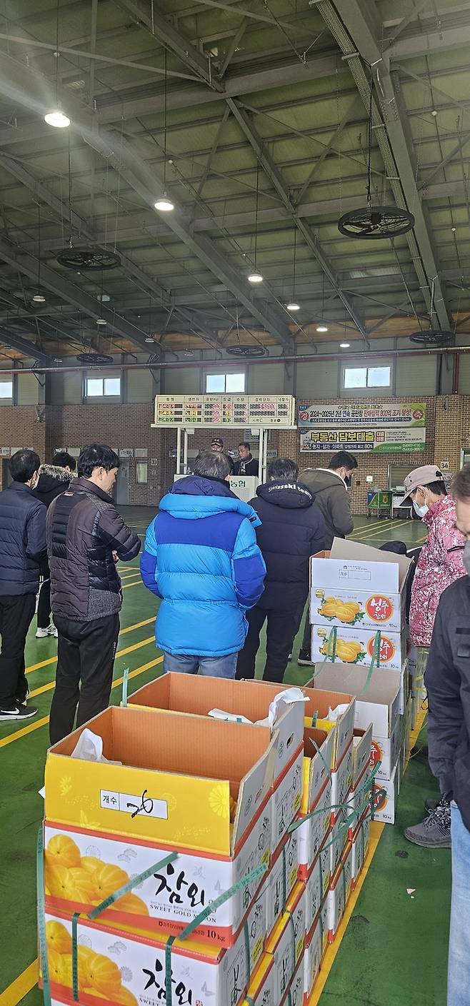 3일 성주참외원예농협 공판장에서 참외경매가 한창이다. 금일 최고 경매가는 1상자(10kg)에 14만원에 낙찰됐다. (석현철 기자)