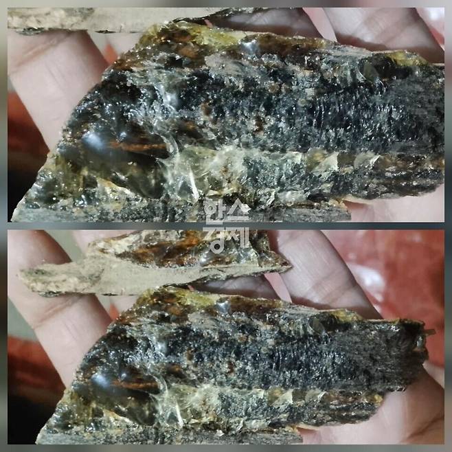 황제의 약재라고 불리는 침향.&nbsp; 사진/ 필리핀 현지인