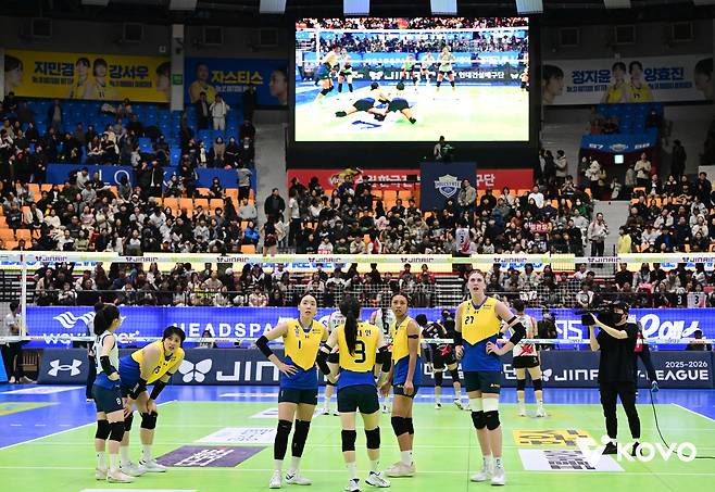 프로배구 경기 중 비디오 판독을 지켜보는 현대건설 선수단. (KOVO 제공)