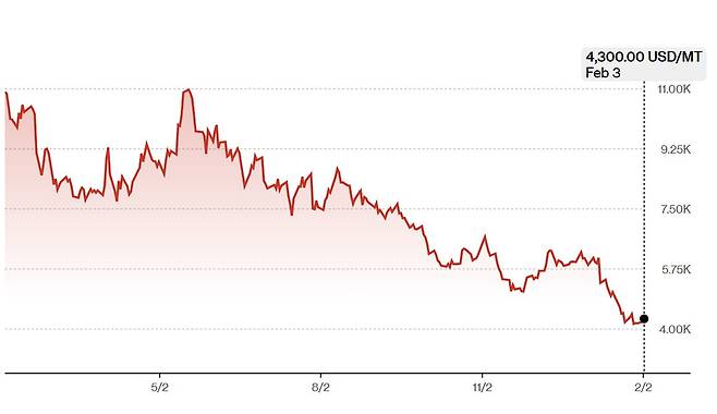 최근 1년 코코아 선물 가격(자료=블룸버그 통신)