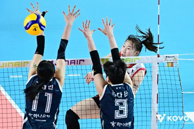 정관장 박여름/KOVO