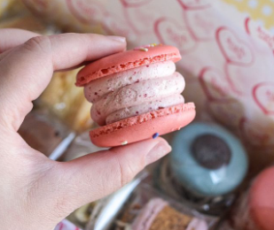 뚱카롱  [SNS 캡처]