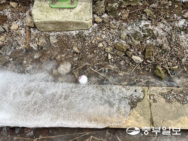 인근 골프장에서 날아온 골프공이 자혜학교 주차장에서 얼음에 박힌 채로 발견됐다. 천민형기자