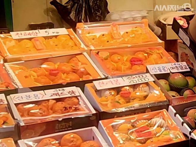 종이판자에 X자가 덧그려져 있다. / 사진=김도영 인턴기자