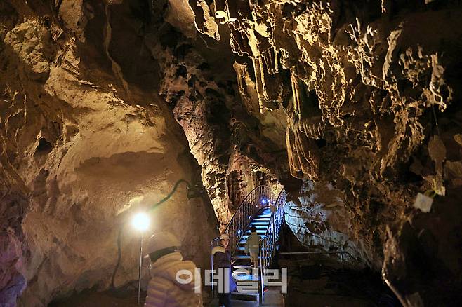 2억 5000만 년이 빚어낸 지질학적 경이와 천년 역사의 흔적이 공존하는 땅속의 박물관인 ‘성류굴’