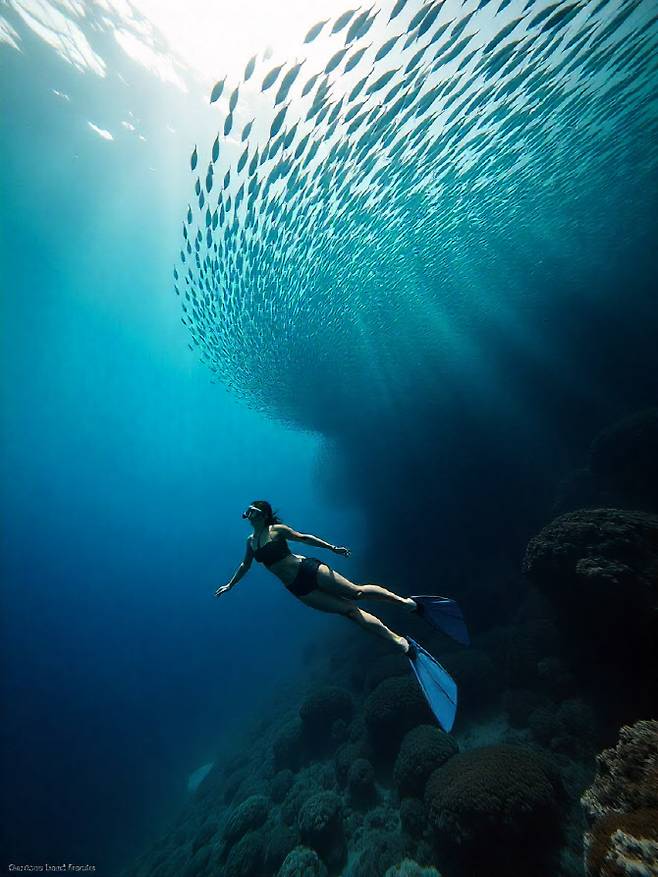 수백만 마리의 정어리 떼가 구름처럼 움직이는 모알보알의 ‘사딘런’ (사진=스타일투어)