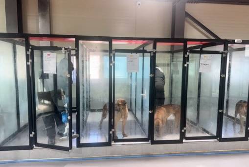 아크보호소 공식 SNS