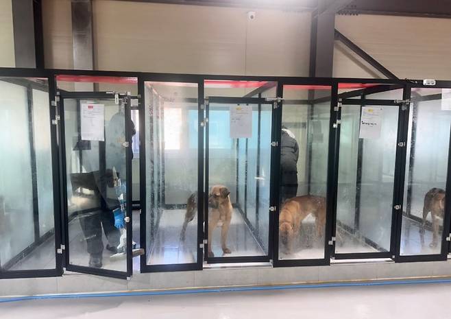 동물보호시설 아크보호소 X 갈무리