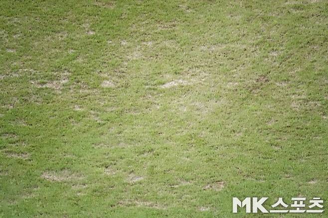 사진=이근승 기자