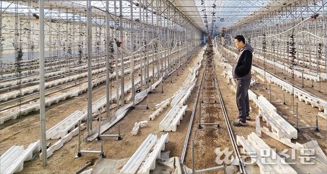 민통선 내에서 토마토농사를 짓는 최대일씨(54)가 자신의 시설하우스를 착잡한 표정으로 바라보고 있다. 그는 최근 군당국이 외국인 노동자의 민통선 출입통제를 강화한 조치에 대해 “영농에 큰 불편이 예상된다”고 호소했다.