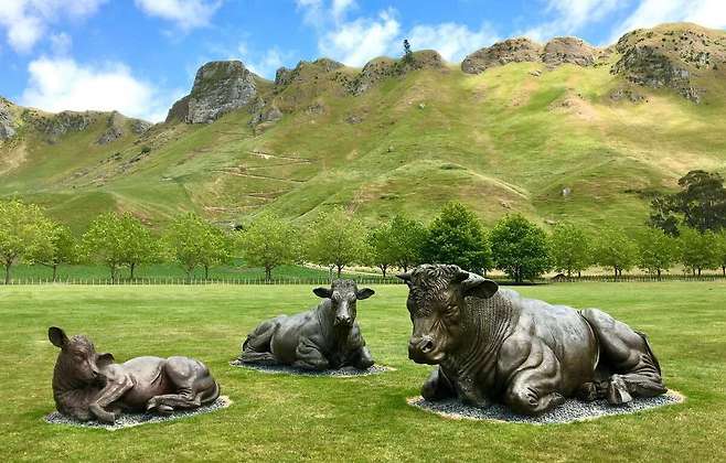 크래기 레인지&nbsp;‘샬로레 소 떼(The Charolais Herd)’ 작품. 홈페이지