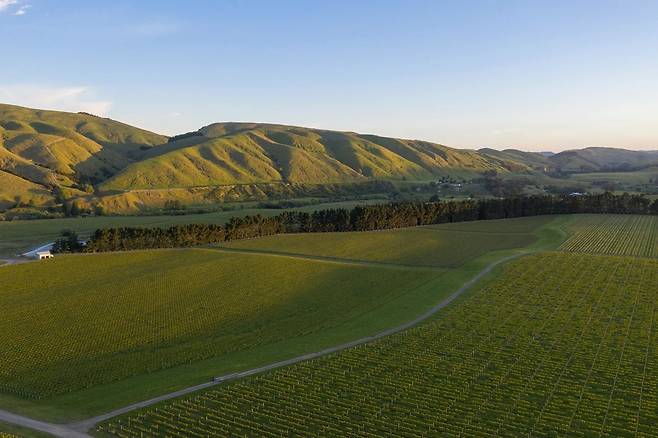테 무나 로드. 홈페이지
