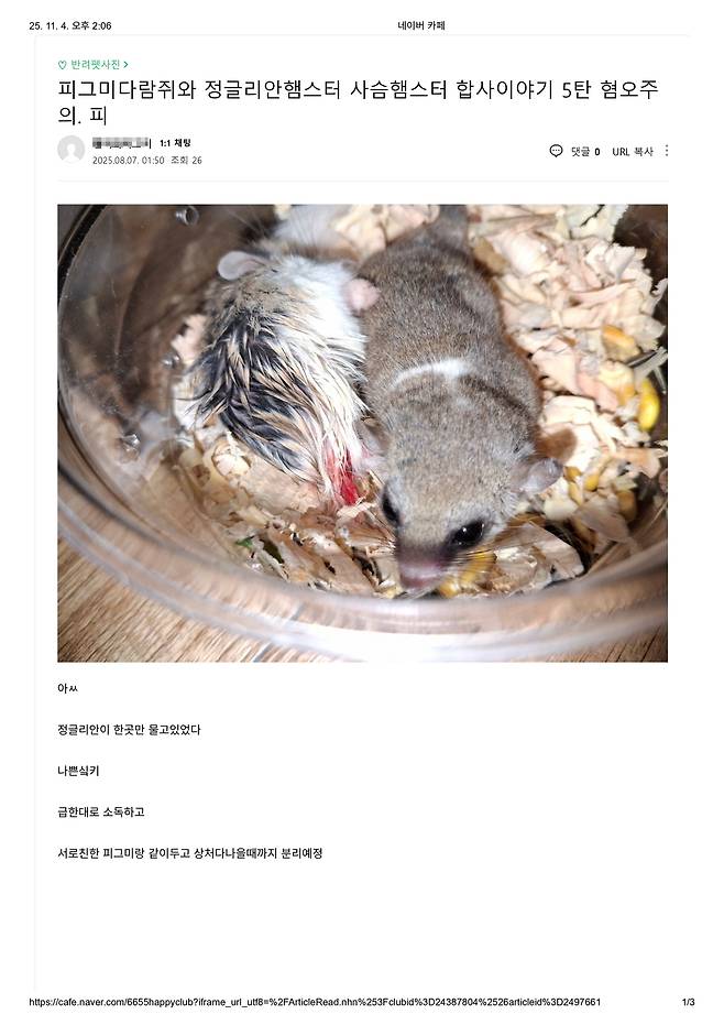 함께 키우면 안돼는 동물들을 강제합사시켜 상처를 입힌 장면. 동물자유연대제공