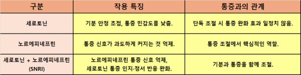 표 구성 = 한상인 기자.