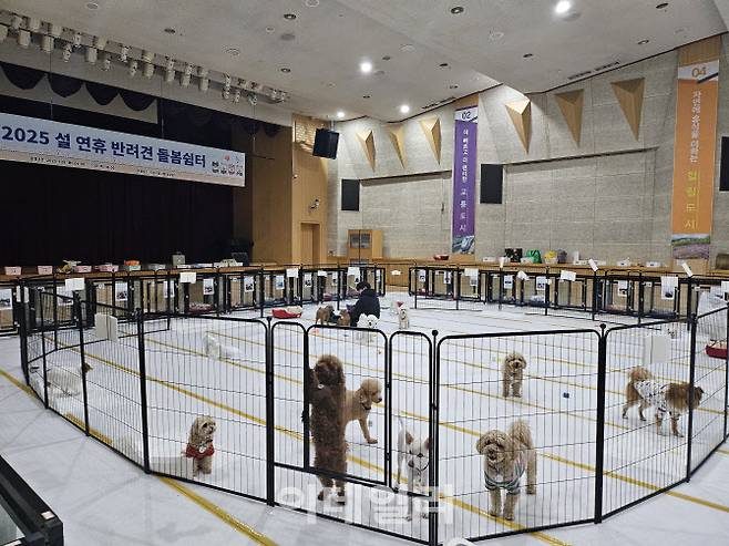 애견호텔로 변신한 노원구청 대강당 (사진=노원구)