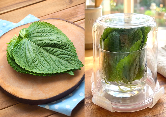 줄기 끝부분만 물에 닿게 세워서 보관하거나 키친타월로 수분을 조절하면 신선도를 유지할 수 있다. 사진=게티이미지뱅크.