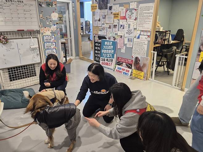 2026년 2월4일 서울 마포구 동물입양센터 아름품 건물에 연대 시민의 반려견 ‘창석이’가 찾아오자 활동가들이 기뻐하며 놀아주고 있다. 신다은 기자
