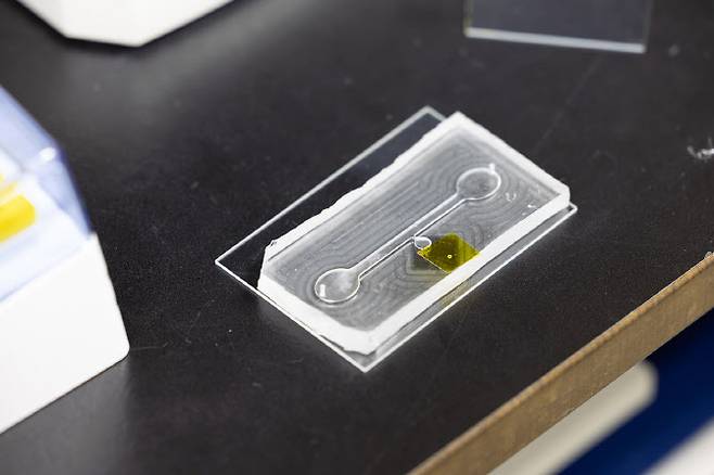 미세유체칩에 오염물질이 추출된 모습.(사진=한국화학연구원)