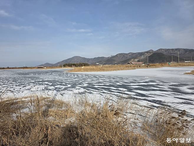 강화 석모도 습지의 겨울 풍경. 얼음 위로 부는 찬바람에 눈가루가 날리고 있다.