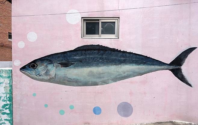 간고등어로 유명한 경북 안동 시내에선 고등어를 그린 벽화를 보는 일이 흔하다.