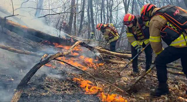 ▲ 8일 경북 경주시 문무대왕면 입천리에서 소방대원들이 전날부터 이어진 산불을 진화하고 있다. 2026.2.8 [경북소방본부 제공]