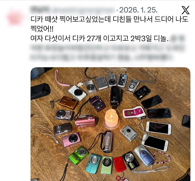 '디친'과 함께 '디놀'을 한 누리꾼의 글 [엑스 앱 캡처. 재판매 및 DB 금지]