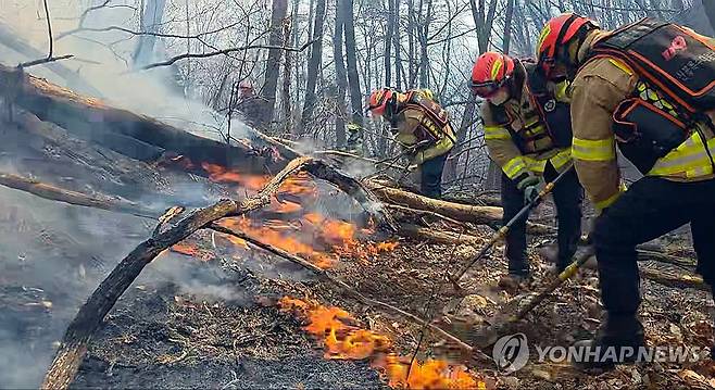 경주 산불 진화하는 소방대원들 (경주=연합뉴스) 8일 경북 경주시 문무대왕면 입천리에서 소방대원들이 전날부터 이어진 산불을 진화하고 있다. 2026.2.8 [경북소방본부 제공. 재판매 및 DB 금지] mtkht@yna.co.kr