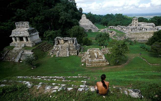 팔렌케 유적의 피라밋 전경.