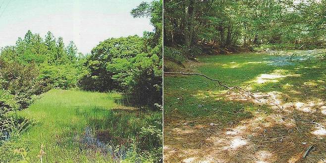 선흘 동백습지에서 논농사를 지었다는 이만재논(사진 왼쪽)과 웃새물. ⓒ제주의소리