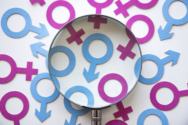 남성과 여성의 뇌 구조는 이미 엄마 뱃속에서부터 다르다는 연구 결과가 나왔다. 사진=게티이미지뱅크