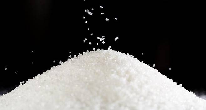 이재명 대통령의 설탕 부담금 제안 이후 대체당에 대한 관심이 커진 가운데 전문가들은 대체당을 장기 섭취할 때의 영향에 관해 ‘아직 결론을 내리기 어렵다’고 보고 있다. 게티이미지뱅크