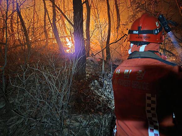 9일 새벽 경북 경주시 문무대왕면 입천리 일원에서 산림청 산불진화대원이 야간 산불 진화 작업을 벌이고 있다. [사진=경주시청]