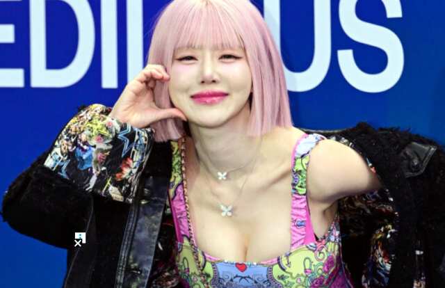 일본 공연 중 발생한 성추행 사건 피해자인 DJ소다에게 2차 가해성 악성 댓글을 남긴 네티즌에게 벌금형이 확정됐다./마이데일리