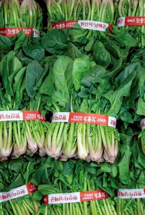 경남 남해에서 생산한 ‘보물초’