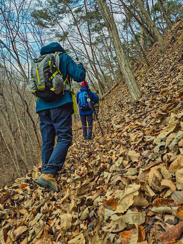 하산길은 묵어 있어 낙엽이 짙게 덮었다. 산행리본을 잘 찾아 내려서야 한다.